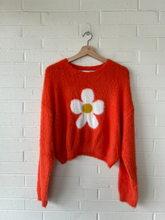 Load image into Gallery viewer, Sweater Size Large
