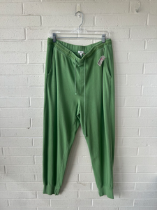 Aerie Pants Size Large