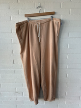 Load image into Gallery viewer, Aerie Pants Size XXL
