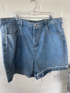 Pretty Little Thing Shorts Size 18/20