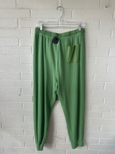 Load image into Gallery viewer, Aerie Pants Size Large
