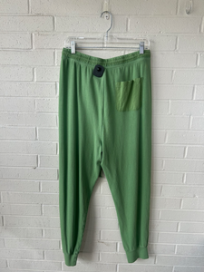 Aerie Pants Size Large