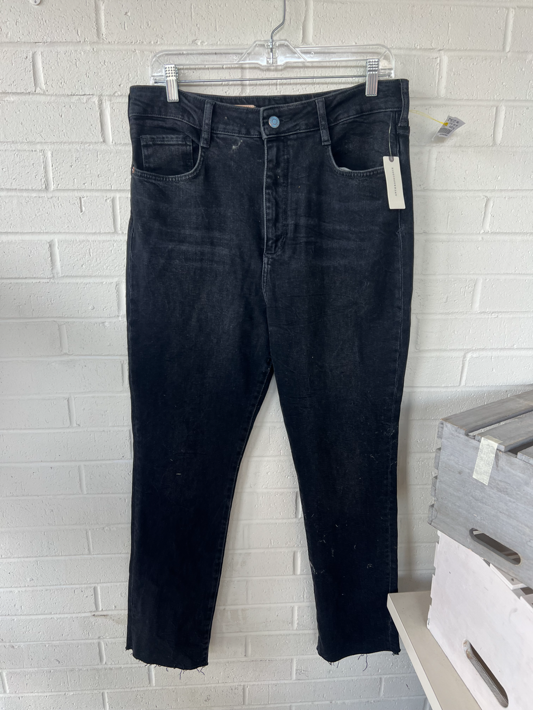 Pilcro Pants Size 13/14 (32)